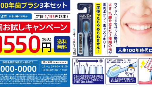 100年歯ブラシ3本セット