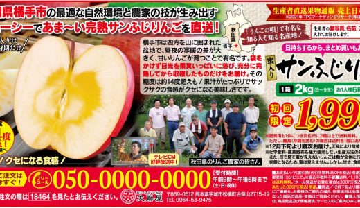 秋田県産蜜入り「サンふじりんご」