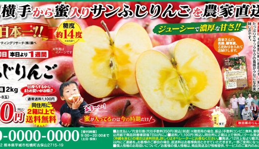 秋田県産蜜入りサンふじりんご