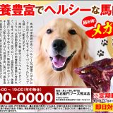 ペット用　メガ盛り　馬肉　切り落とし　（1kg）