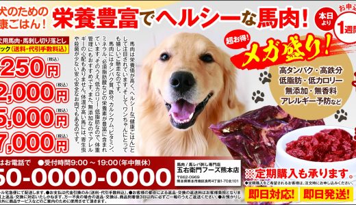 ペット用　メガ盛り　馬肉　切り落とし　（1kg）