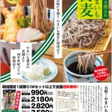 【新】そば粉九割入りやまいも蕎麦（全面専用）