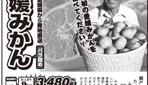 訳あり愛媛みかん（雑誌）