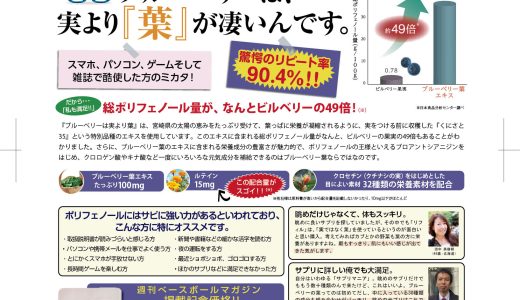 ブルーベリーは実より葉（雑誌）