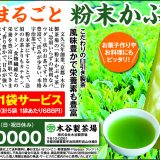 粉末かぶせ茶