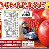 長野産 葉取らず小玉サンふじりんご