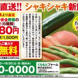 おまかせ安心安全野菜の詰め合わせ