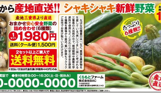 おまかせ安心安全野菜の詰め合わせ